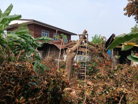 ช่วยเหลือผู้ประสบภัยจากธรรมชาติ (วาตภัย)
