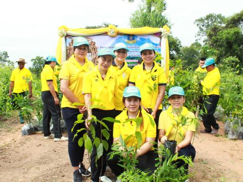 โครงการปลูกต้นไม้เฉลิมพระเกียรติพระเจ้าอยู่หัว 28 ก.ค.68
