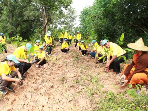 โครงการปลูกต้นไม้เฉลิมพระเกียรติพระเจ้าอยู่หัว 28 ก.ค.68