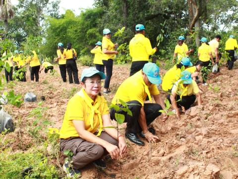 โครงการปลูกต้นไม้เฉลิมพระเกียรติพระเจ้าอยู่หัว 28 ก.ค.68