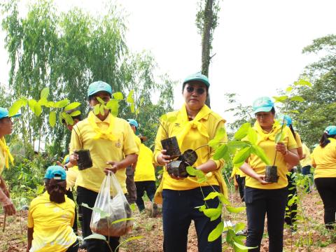 โครงการปลูกต้นไม้เฉลิมพระเกียรติพระเจ้าอยู่หัว 28 ก.ค.68