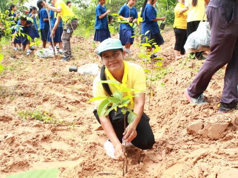โครงการปลูกต้นไม้เฉลิมพระเกียรติพระเจ้าอยู่หัว 28 ก.ค.68