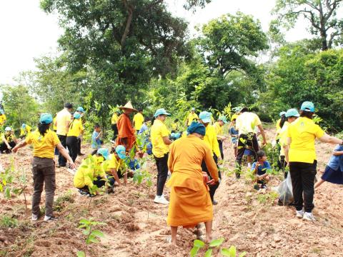 โครงการปลูกต้นไม้เฉลิมพระเกียรติพระเจ้าอยู่หัว 28 ก.ค.68