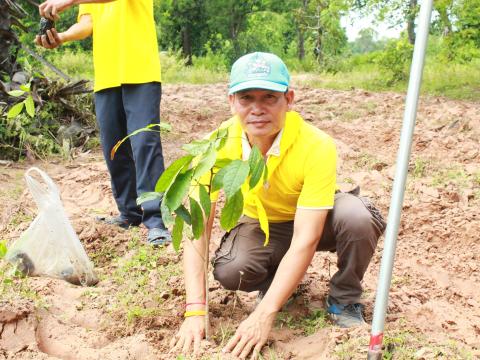 โครงการปลูกต้นไม้เฉลิมพระเกียรติพระเจ้าอยู่หัว 28 ก.ค.68