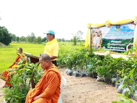โครงการปลูกต้นไม้เฉลิมพระเกียรติพระเจ้าอยู่หัว 28 ก.ค.68