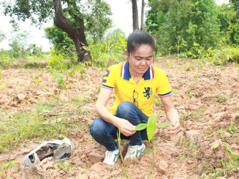 โครงการปลูกต้นไม้เฉลิมพระเกียรติพระเจ้าอยู่หัว 28 ก.ค.68