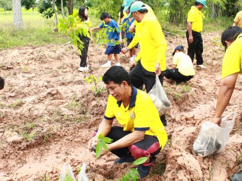 โครงการปลูกต้นไม้เฉลิมพระเกียรติพระเจ้าอยู่หัว 28 ก.ค.68