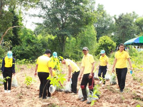 โครงการปลูกต้นไม้เฉลิมพระเกียรติพระเจ้าอยู่หัว 28 ก.ค.68