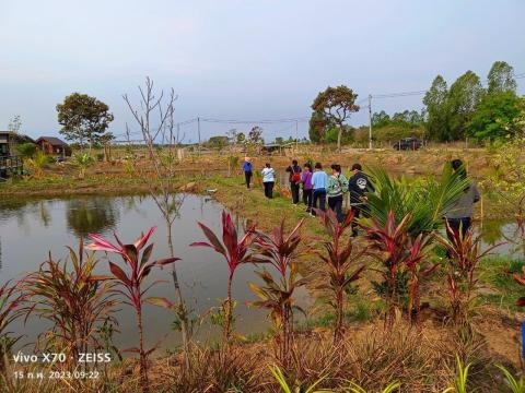 กิจกรรมเพิ่มทักษะการพัฒนากสิกรรมสู่ระบบเศรษฐกิจพอเพียง