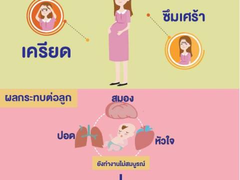 โครงการสร้างเสริมสุขภาพเชิงรุก เพื่อลดภาวะคลอดก่อนกำหนด