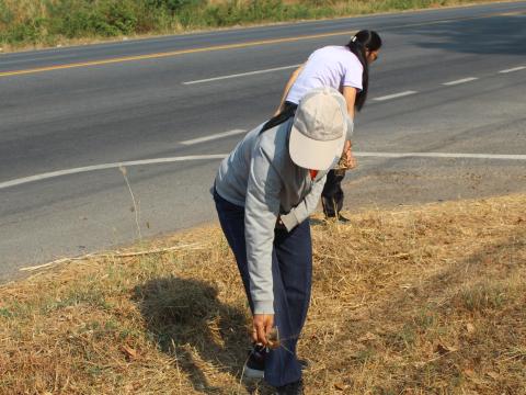 กิจกรรมท้องถิ่นไทยก้ามปูร่วมใจ Big cleaning day