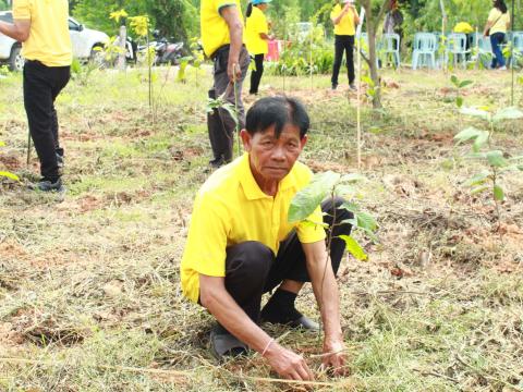 โครงการปลูกต้นไม้เฉลิมพระเกียรติพระบาทสมเด็จพระเจ้าอยู่หัว