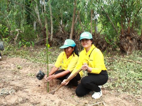 โครงการปลูกต้นไม้เฉลิมพระเกียรติพระบาทสมเด็จพระเจ้าอยู่หัว