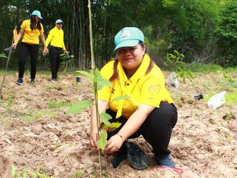 โครงการปลูกต้นไม้เฉลิมพระเกียรติพระบาทสมเด็จพระเจ้าอยู่หัว