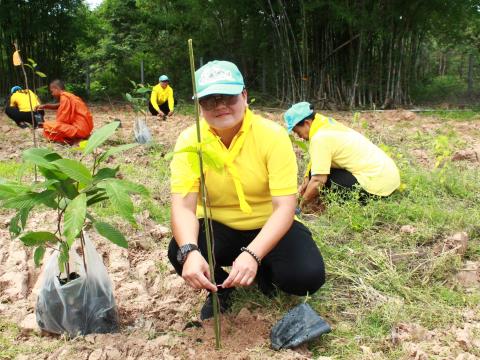 โครงการปลูกต้นไม้เฉลิมพระเกียรติพระบาทสมเด็จพระเจ้าอยู่หัว