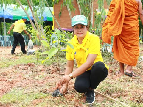 โครงการปลูกต้นไม้เฉลิมพระเกียรติพระบาทสมเด็จพระเจ้าอยู่หัว