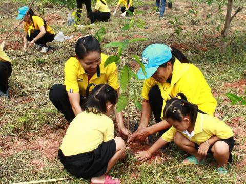 โครงการปลูกต้นไม้เฉลิมพระเกียรติพระบาทสมเด็จพระเจ้าอยู่หัว