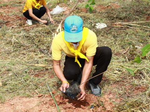 โครงการปลูกต้นไม้เฉลิมพระเกียรติพระบาทสมเด็จพระเจ้าอยู่หัว