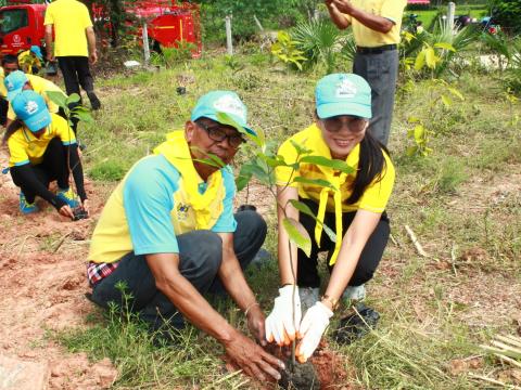 โครงการปลูกต้นไม้เฉลิมพระเกียรติพระบาทสมเด็จพระเจ้าอยู่หัว