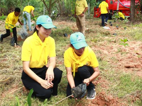 โครงการปลูกต้นไม้เฉลิมพระเกียรติพระบาทสมเด็จพระเจ้าอยู่หัว