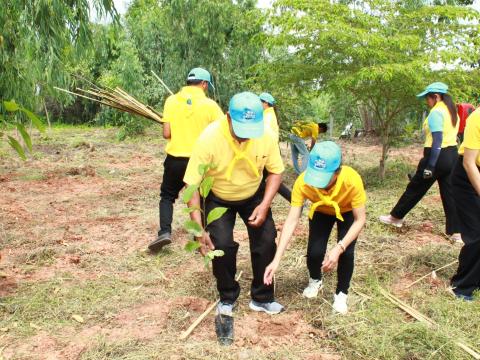 โครงการปลูกต้นไม้เฉลิมพระเกียรติพระบาทสมเด็จพระเจ้าอยู่หัว