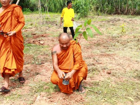 โครงการปลูกต้นไม้เฉลิมพระเกียรติพระบาทสมเด็จพระเจ้าอยู่หัว