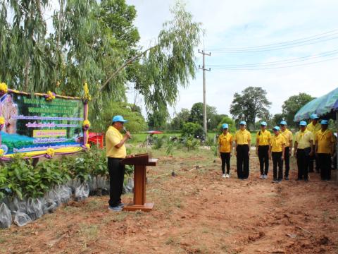 โครงการปลูกต้นไม้เฉลิมพระเกียรติพระบาทสมเด็จพระเจ้าอยู่หัว