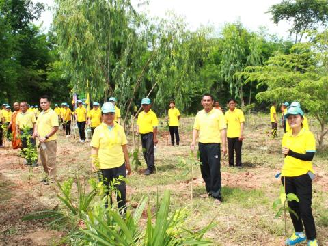 โครงการปลูกต้นไม้เฉลิมพระเกียรติพระบาทสมเด็จพระเจ้าอยู่หัว