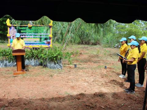 โครงการปลูกต้นไม้เฉลิมพระเกียรติพระบาทสมเด็จพระเจ้าอยู่หัว