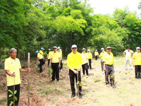 โครงการปลูกต้นไม้เฉลิมพระเกียรติพระบาทสมเด็จพระเจ้าอยู่หัว