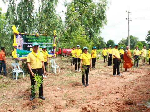 โครงการปลูกต้นไม้เฉลิมพระเกียรติพระบาทสมเด็จพระเจ้าอยู่หัว