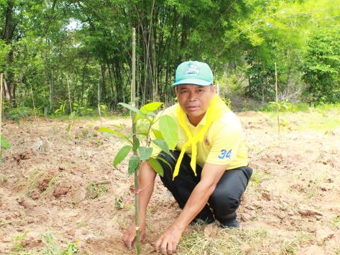 โครงการปลูกต้นไม้เฉลิมพระเกียรติพระบาทสมเด็จพระเจ้าอยู่หัว