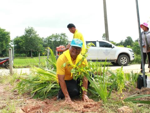 โครงการปลูกต้นไม้เฉลิมพระเกียรติพระบาทสมเด็จพระเจ้าอยู่หัว